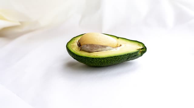 avocado kweken